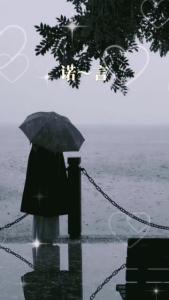 风雨中的诺言-钢琴谱