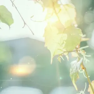 美丽的心灵-钢琴谱