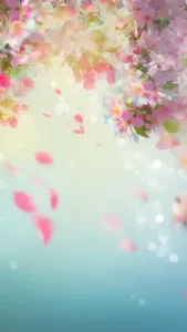 花瓣雨-钢琴谱