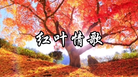 红叶情歌-钢琴谱