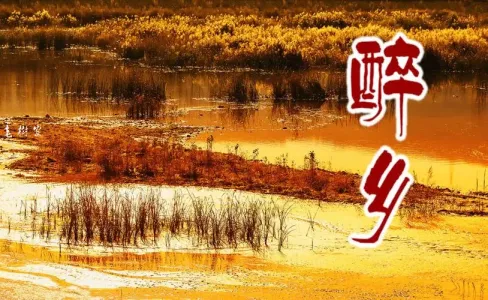 醉乡-钢琴谱