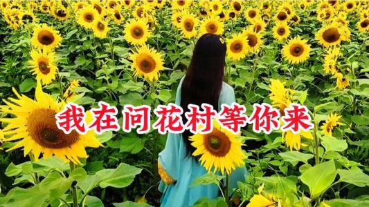 我在问花村等你-钢琴谱