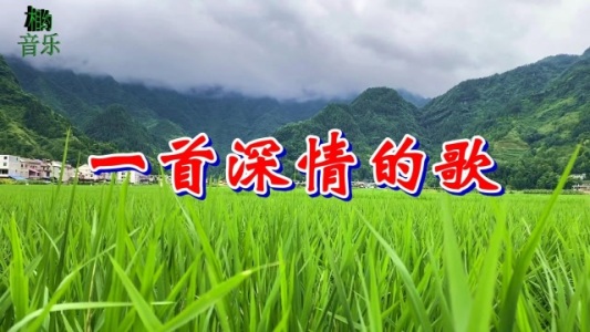一首深情的歌-钢琴谱