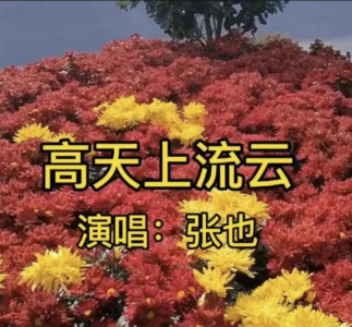 高天上流云钢琴简谱 数字双手