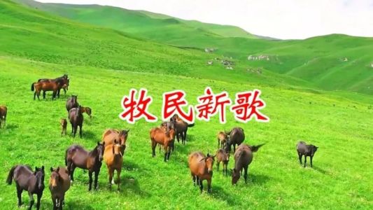 牧民新歌-钢琴谱