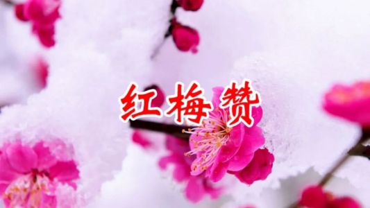 红梅赞-钢琴谱