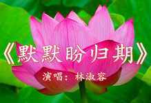 默默盼归期-钢琴谱
