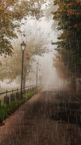 雨的慕情(萨克斯）-钢琴谱