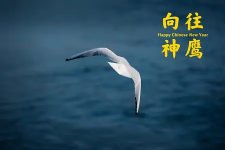 向往神鹰-钢琴谱