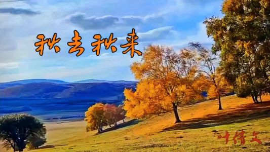 秋去秋来-钢琴谱