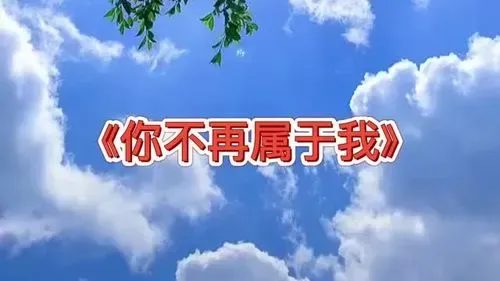 你不再属于我-钢琴谱