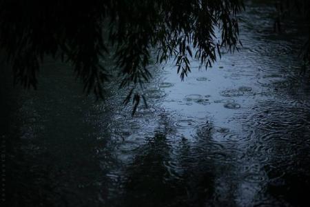 雨中的顾姆岭-钢琴谱