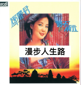 漫步人生路-钢琴谱
