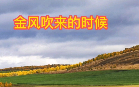 金风吹来的时候-钢琴谱