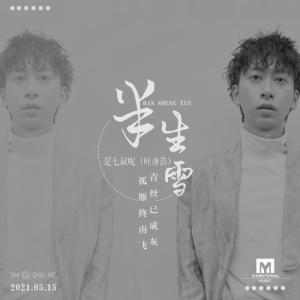 李森茂吉他谱半生少年