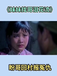 妹妹找哥泪花流-钢琴谱