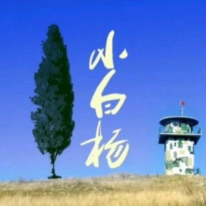 小白杨-钢琴谱