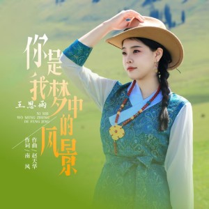 你是我梦中的风景-钢琴谱