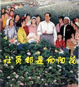 社员都是向阳花-钢琴谱