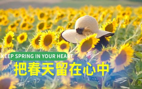 把春天留在心里(萨克斯版)-钢琴谱