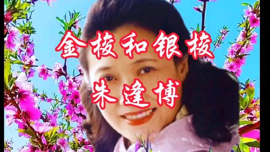 金梭和银梭-钢琴谱