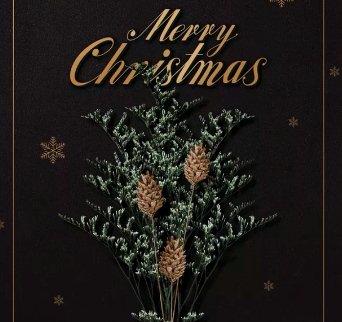 We Wish You A Merry Christmas-钢琴谱