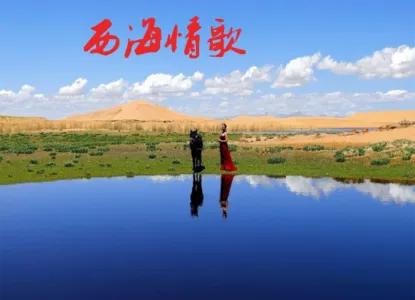 西海情歌-钢琴谱