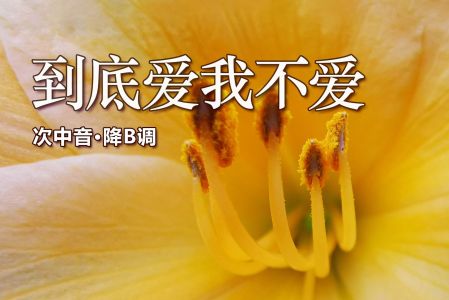 你到底爱不爱-钢琴谱