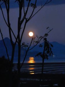 月亮升起来(葫芦丝)-钢琴谱