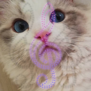 最大的雨-钢琴谱