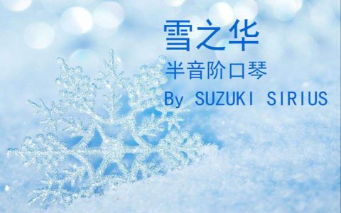 雪之华(口琴)-钢琴谱