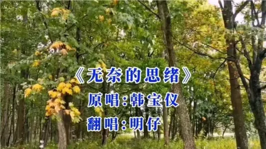 无奈的思绪-钢琴谱