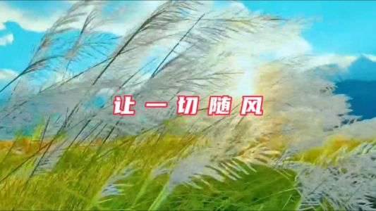 让一切随风-钢琴谱