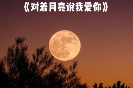 对着月亮说声我爱你(萨克斯版)-钢琴谱
