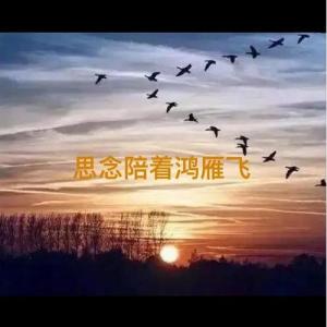 思念陪着鸿雁飞-钢琴谱