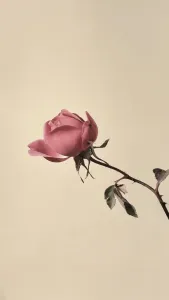 心中的玫瑰(萨克斯版)-钢琴谱