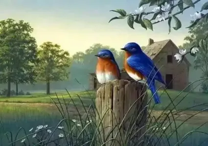 最美的情缘-钢琴谱