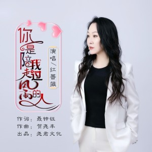 你是陪我走过风雨的人-钢琴谱
