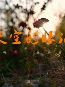 天空的眼泪(하늘눈물)-钢琴谱