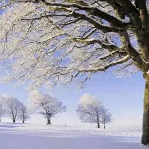 爱如雪花-钢琴谱
