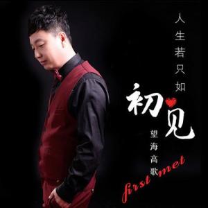 人生若只如初见(Radio Edit)-钢琴谱
