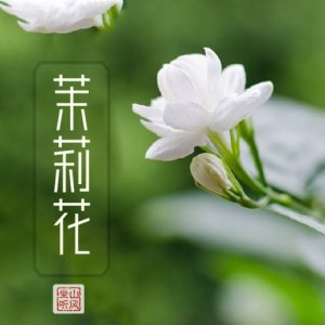 我最喜歡-鋼琴譜