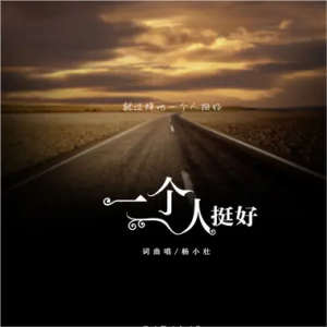 一个人挺好（DJ版）-钢琴谱