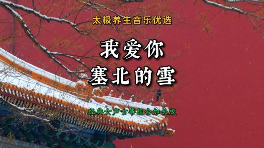 我爱你塞北的雪-钢琴谱