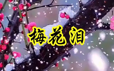 梅花泪-钢琴谱