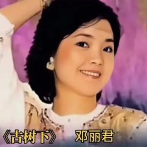 古树下-钢琴谱