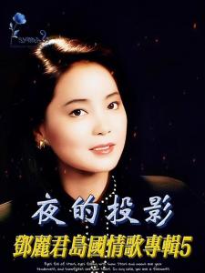 夜的投影-钢琴谱