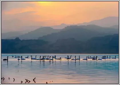 黄河水从我家门前过-钢琴谱