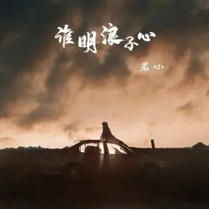 谁明浪子心-钢琴谱