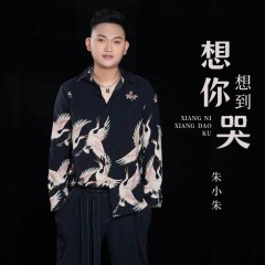 想你想到哭-钢琴谱